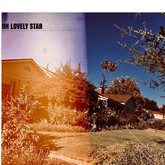 Lovely Star * Original Photography Print - Picture 3 of 5